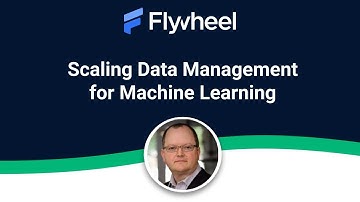Scaling Data Management for Machine Learning