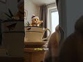 Başlık: Do the Stoßlüften! 🥶🪟 #german #deutschkurs #deutsch