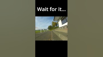 TREEEES #fail #failarmy #fpv #fpvdrone #freestyle #dji #shortsviral #shortsfeed #shorts