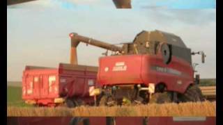 Moisson 2007 avec une CASE IH AFX 8010