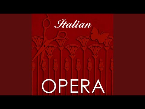 Manon Lescaut, Act I: Donna non vidi mai (Des Grieux)