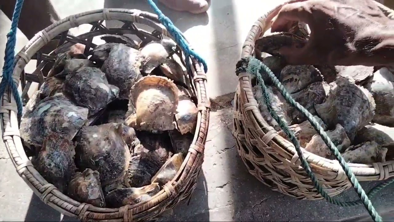 DESA MESIANG, KABUPATEN KEPULAUAN ARU, MALUKU INDONESIA.