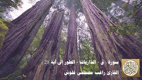 المصحف المرتل للشيخ راغب مصطفى غلوش - سورة ( ق والذريات والطور الى آية 28 )