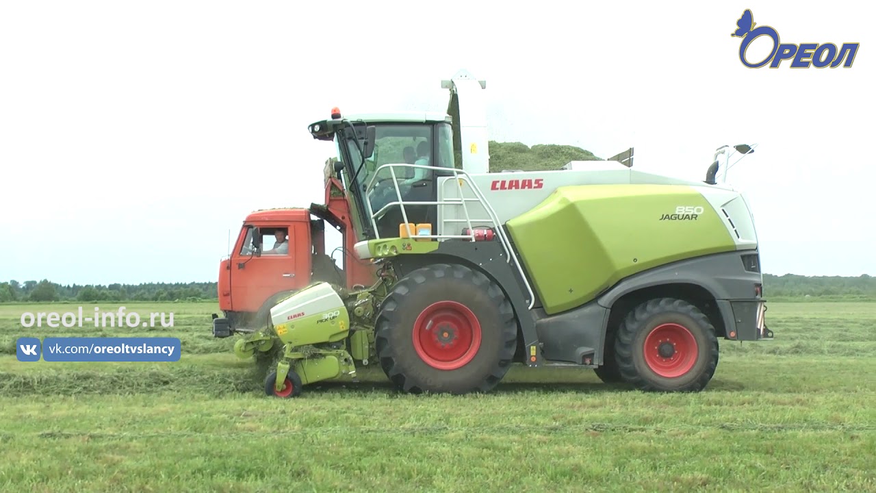 ЗАО «Осьминское». Преодоление трудностей и решение поставленных задач