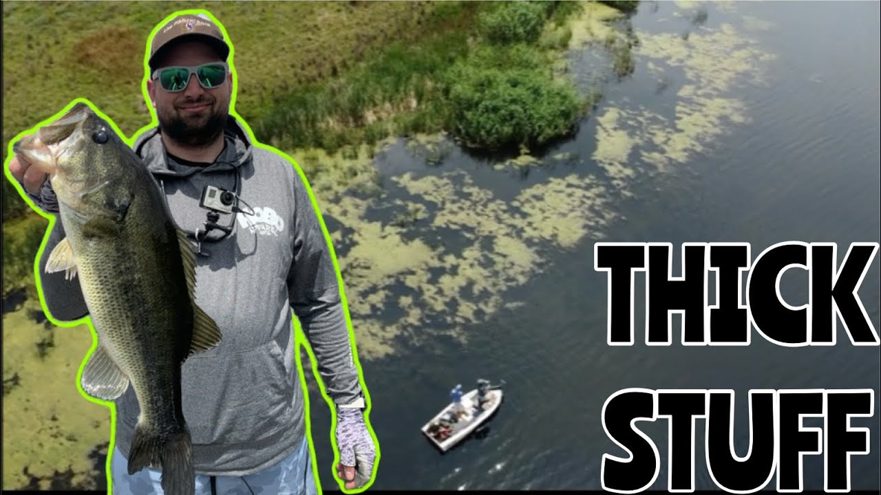 They Were In The Grass ! | Rietspruit Bass Fishing