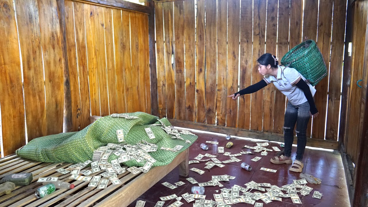 Summary of the 365-day journey of a poor girl who discovered millions of dollars in a landfill - P3