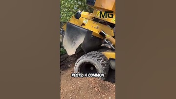 Root Razors For Pro Stump Grinding & Total Root Elimination!