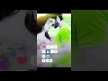 Dil Mein Ho Tum Aankhon Mein Tum WhatsApp Status Whatsapp Status Video Download Free