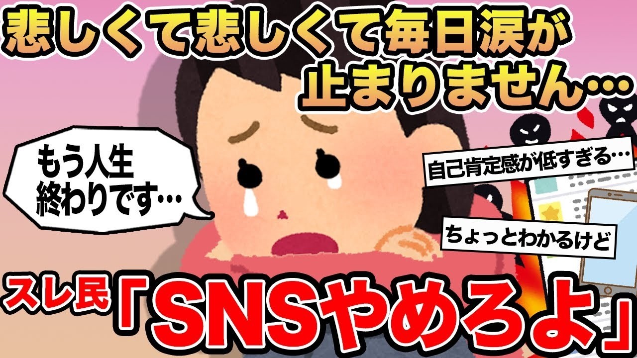 【報告者キチ】悲しくて悲しくて毎日涙が止まりません   →スレ民「SNSやめろよ」