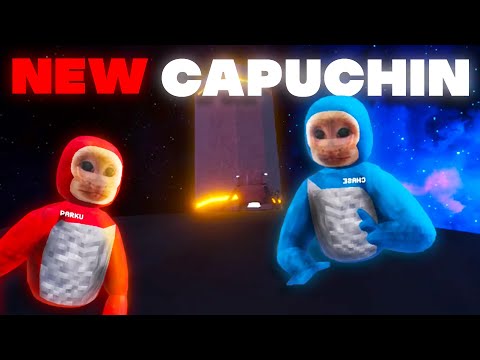 THE NEW CAPUCHIN