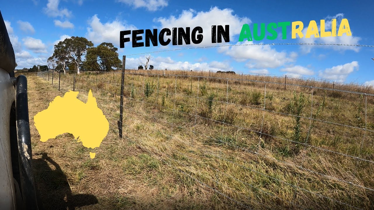 OUR FENCE LIFE??? Constructing a sheep proof fence Australian Sheep
