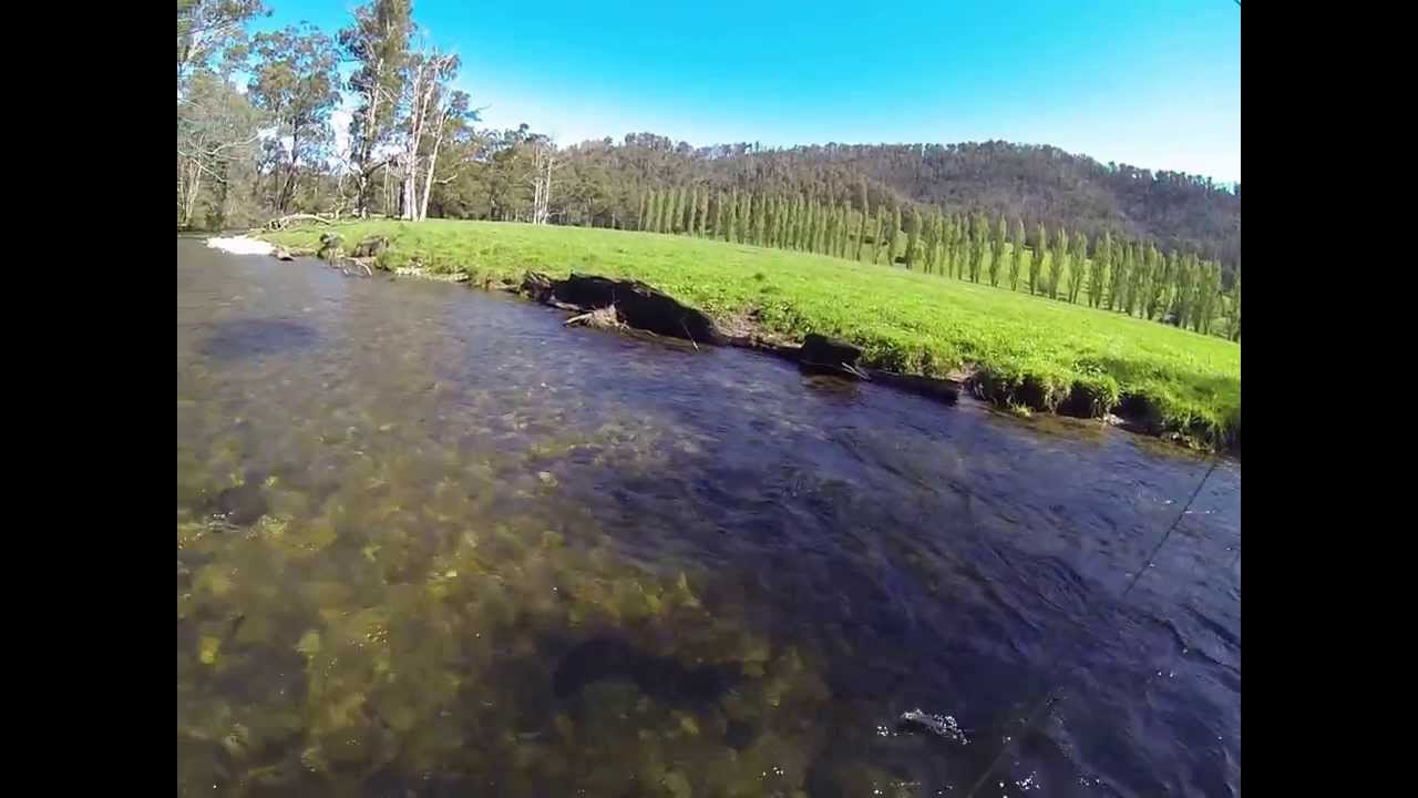 Fly Fishing Melbourne YouTube