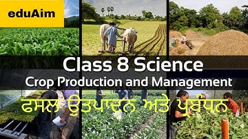 Crop Production and Management Full Chapter Class 8 Science | PSEB | NCERT Science Class 8 Chapter 1