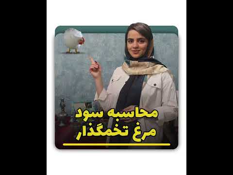 سوددهی پرورش مرغ تخمگذار چقدره