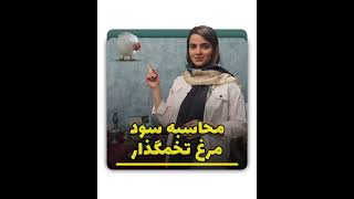 سوددهی پرورش مرغ تخمگذار چقدره؟ screenshot 2