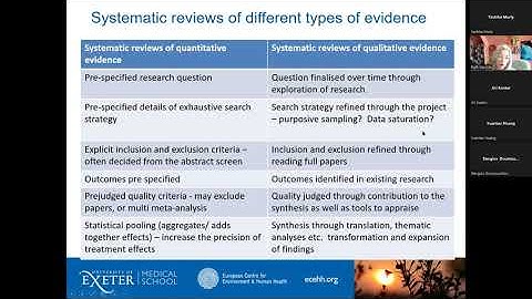 Qualitative evidence synthesis training workshop, Ruth Garside