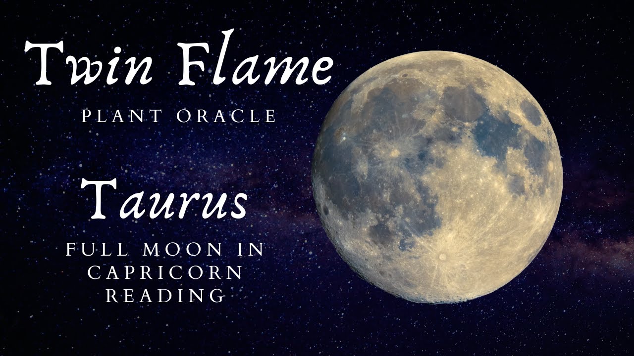 Taurus Full Moon 🌕 Plant Oracle🌱: Twin Flame Commitment Challenge - YouTube