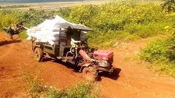 Xe công nông 2 cầu chở lúa lên dốc siêu khỏe