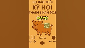 🔮 Dự Đoán Tuổi Hợi 2019 cho Tháng 5/2025 | Tình Duyên, Tài Lộc, Sự Nghiệp Theo Từng Năm Sinh