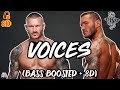 Randy Orton Voices Entrance Theme Bass Boosted 8D Randy Orton Voices Entrance Theme Bass Boosted 8D