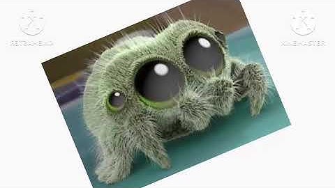 Preview 1280 Lucas Spider