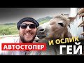 Автостопер и ослик гей. Мидаграбинские водопады