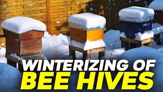 Winterize Bee Hives: Essential Tips for a Successful Season