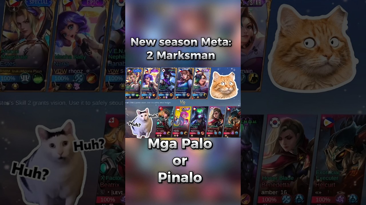 new meta 2 marksman in dark system ❓ “Did my job. Still lost.” ARAYKO😔❗ 