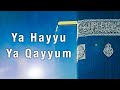 Ya Hayyu Ya Qayyum | NFAK | Whatsapp Status 2021