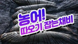 농어루어 ./ 따오기 채비 /있는곳 던지면 /문다입니다/ 삼치 광어 우럭 고등어