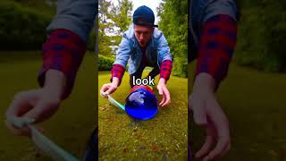 g1f8947306_jd97