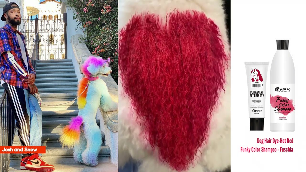 OPAWZ Dog Hair Dye & Pet Color Shampoo Makeover | Josh and Snow