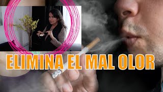 Tips Para Eliminar Los Malos Olores En Un Departamento