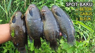 Hadiah strike untuk si pemancing liar!! Spot baru ikan betok di rawa hutan #SG-126