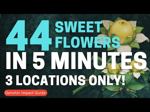 44 Sweet Flowers in 5 Minutes Farming Route | Genshin Impact