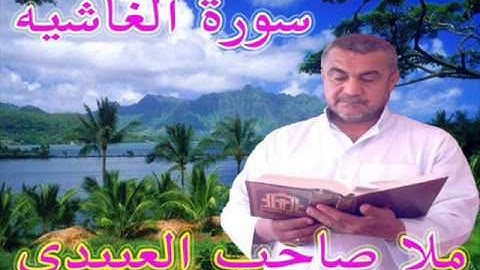 سورة الغاشية والفجر =هديتى الى ارواح امواتكم اخوانى واخواتى الاجلاء =ملا صاحب العبيدى