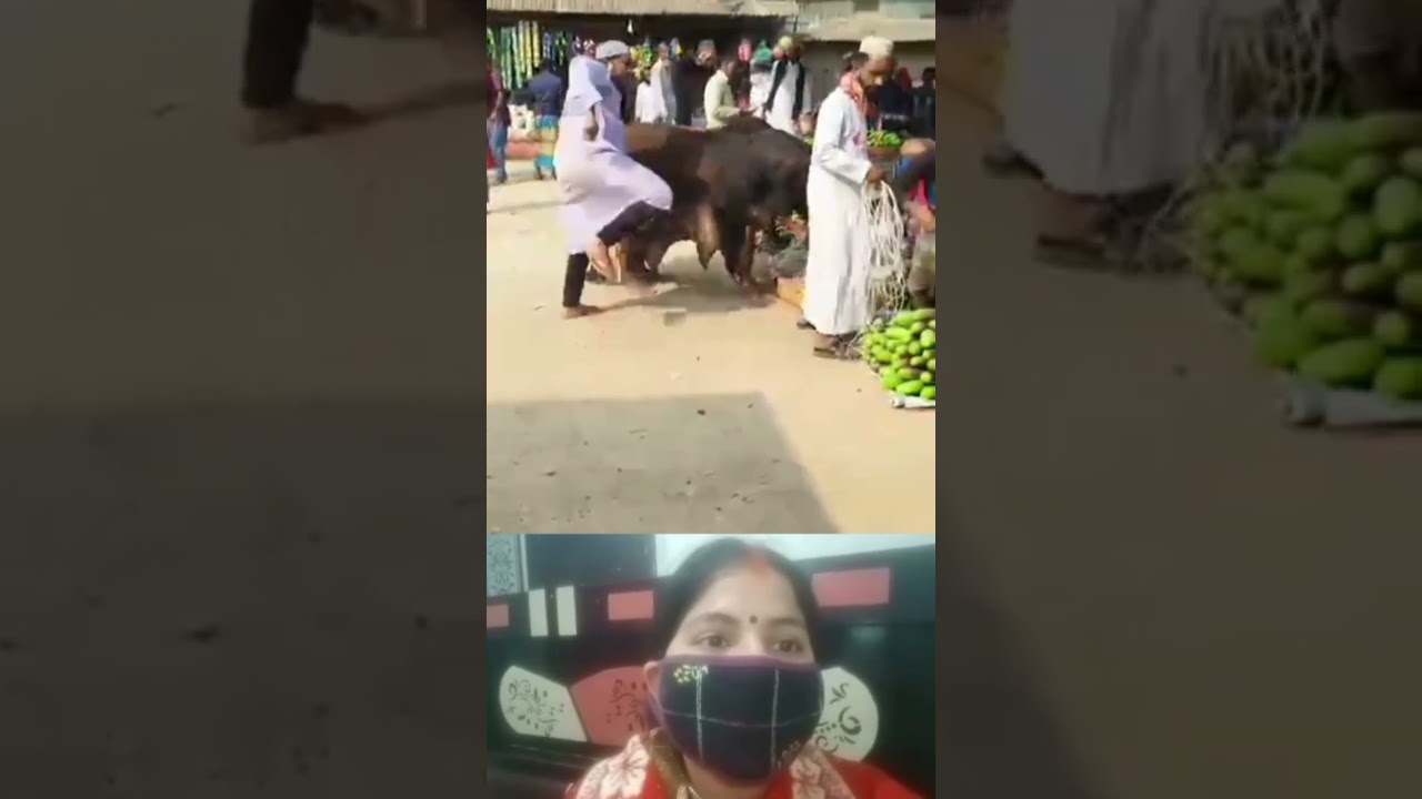 PT  3//try not laugh challenge 