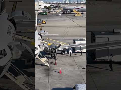 Conquest Air Cargo Unloads Monkeys at Florida Airport #shorts