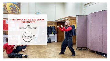 Explaining Different Aspects of South Shaolin’s San Zhan Form - The External Harmonies