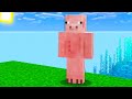30 MOSTRI CHE NON DOVREBBERO ESISTERE SU MINECRAFT