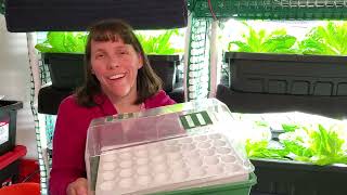 Using Park Seed Bio Dome Seed Starter Kit with Hydroponics