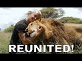 Dean schneider  reunited with the lions