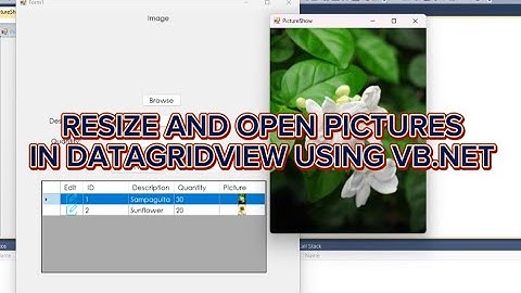 How to resize and open pictures in datagridview using vb.net