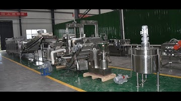 Introduction video of automatic nuts butter production line---008615516969050