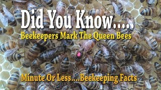 Beekeepers... Mark The Queen Bees / Minute Or Less Beekeeping Facts