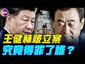 王健林被立案！王健林與習近平家族的隱秘糾葛：曾經的護身符，為什麼變成催命符？#真飛 #真觀點  05.31.2026