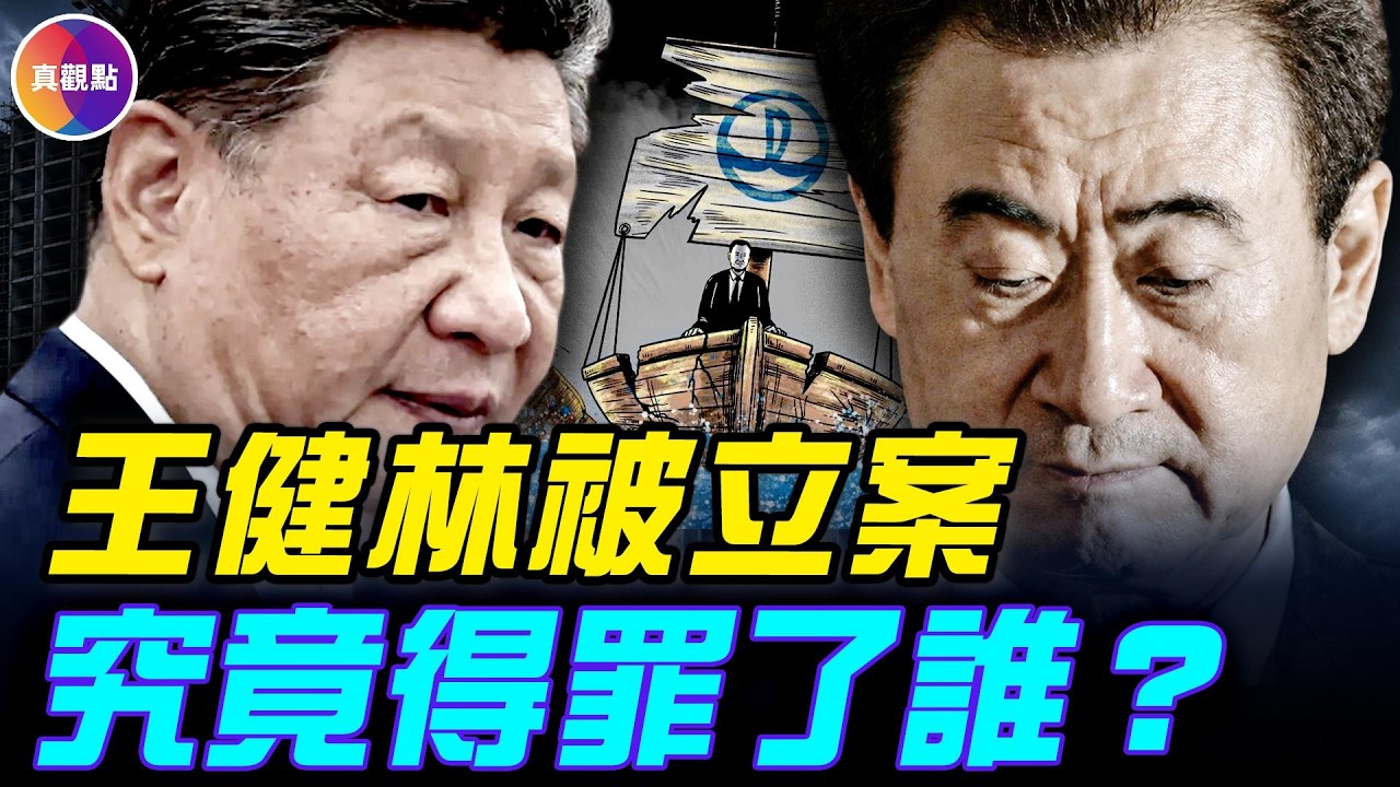 王健林被立案！王健林與習近平家族的隱秘糾葛：曾經的護身符，為什麼變成催命符？#真飛 #真觀點  05.31.2026