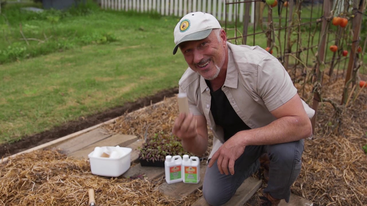 Planting your seedlings with toilet paper rolls - YouTube