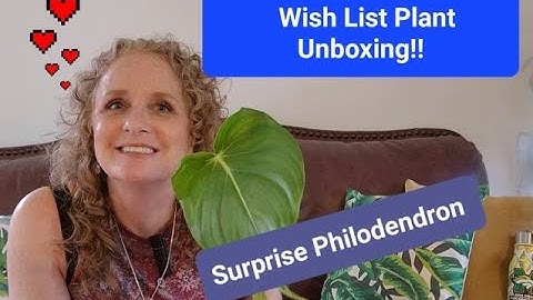 Unboxing Wish List Plant and Surprise Philodendron!!