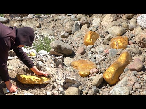 Digging For Treasure Worth Millions From Huge Nuggets Of Gold